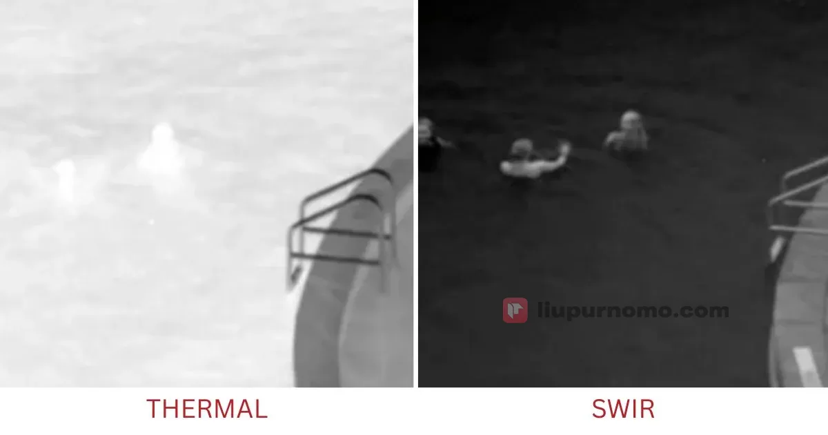 Deteksi perenang di air dengan kontras tinggi berkat penyerapan cahaya SWIR