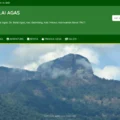 Website dan Aplikasi Desa