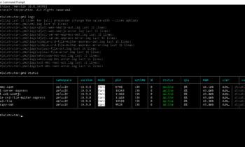 Fix Error SyntaxError: Unexpected token ':' Saat Jalankan NPM dengan PM2